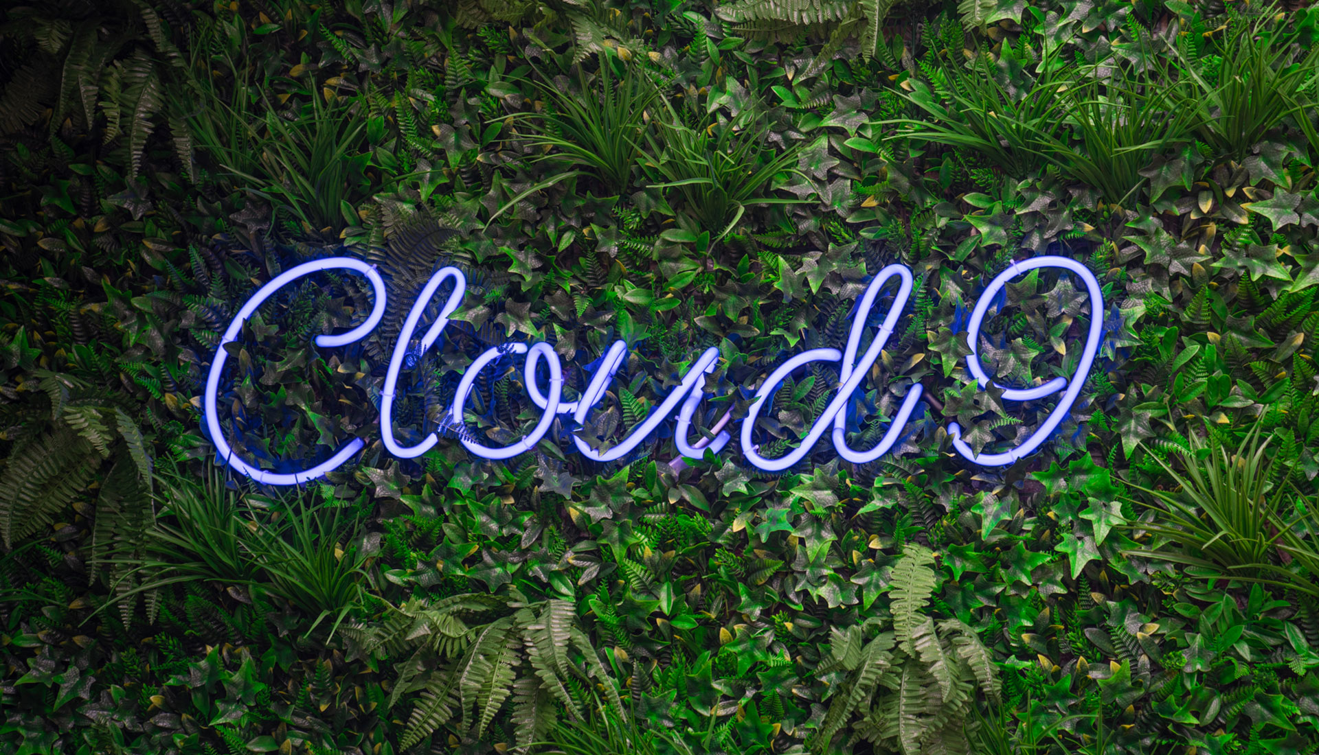 Cloud 9 Shisha in London