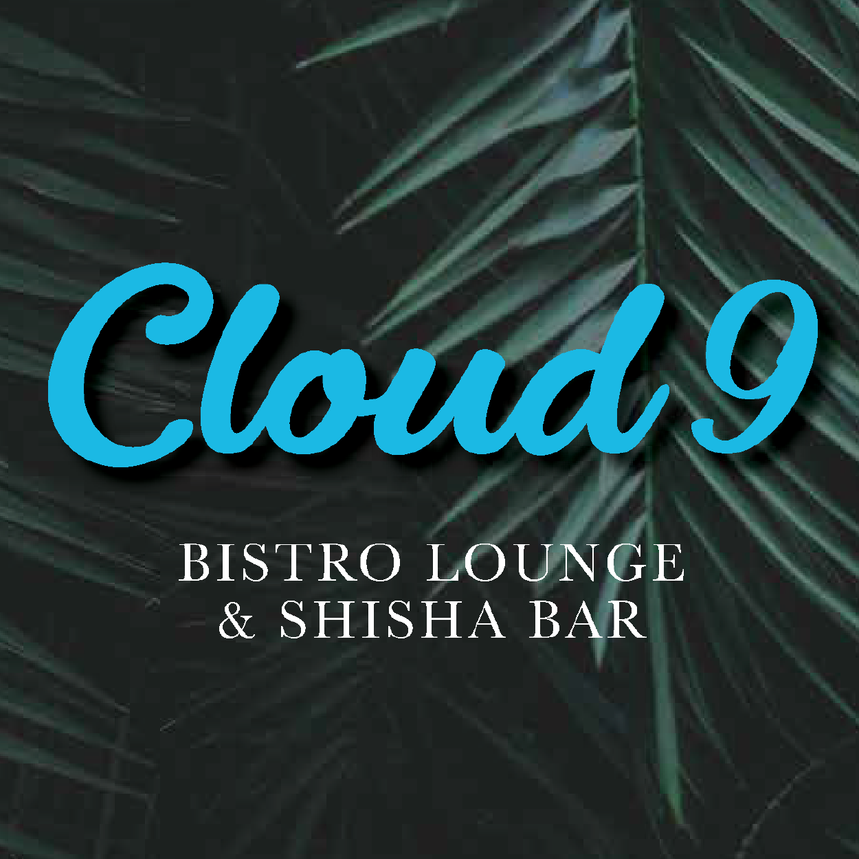 Cloud 9 Bistro Lounge & Shisha Garden Lordship Lane, Haringey, London